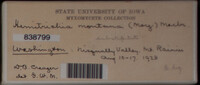 Image Associated With the Occurence